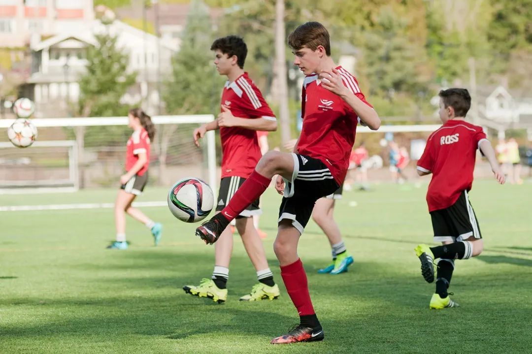 乐鱼官网-乐鱼官方正版APP最新版免费下载