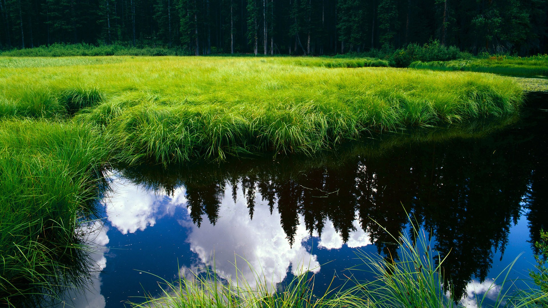 女子蛙泳冠军滑行时间占总程21%,女子蛙泳名将