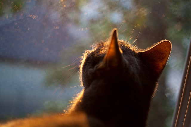 德国队女子泳员全力冲刺每场比赛，德国队女子泳员全力冲刺每场比赛结果