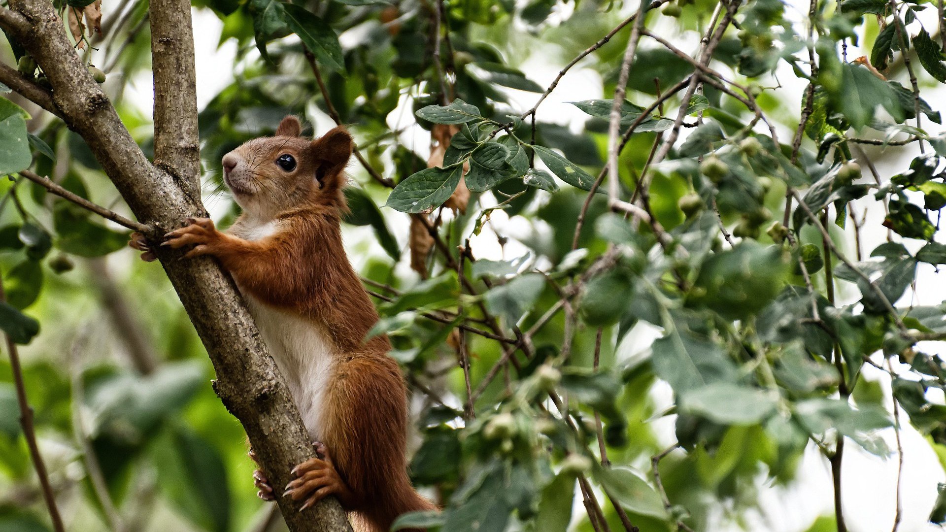 乐鱼app-体育公益项目助力乡村发展，体育公益活动