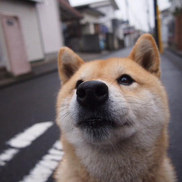 湖人公布球员出场顺序强调战术部署,nba湖人出场视频