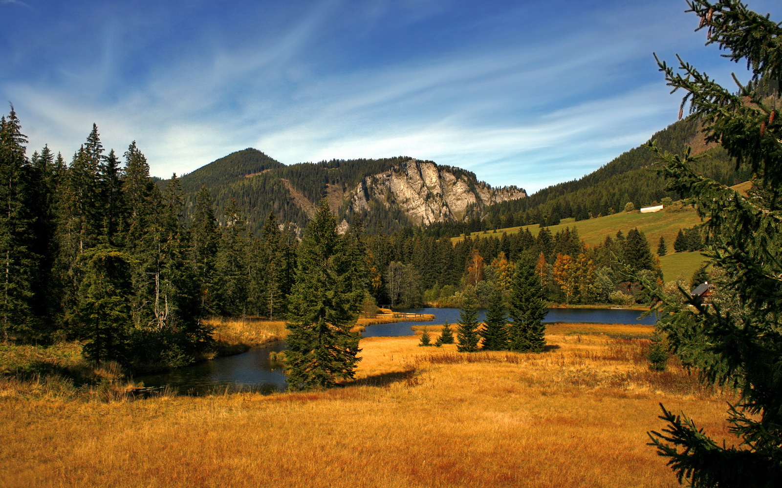 科特迪瓦男篮在非洲锦标赛中持续升温，梦想奥运新篇，科特迪瓦篮球队