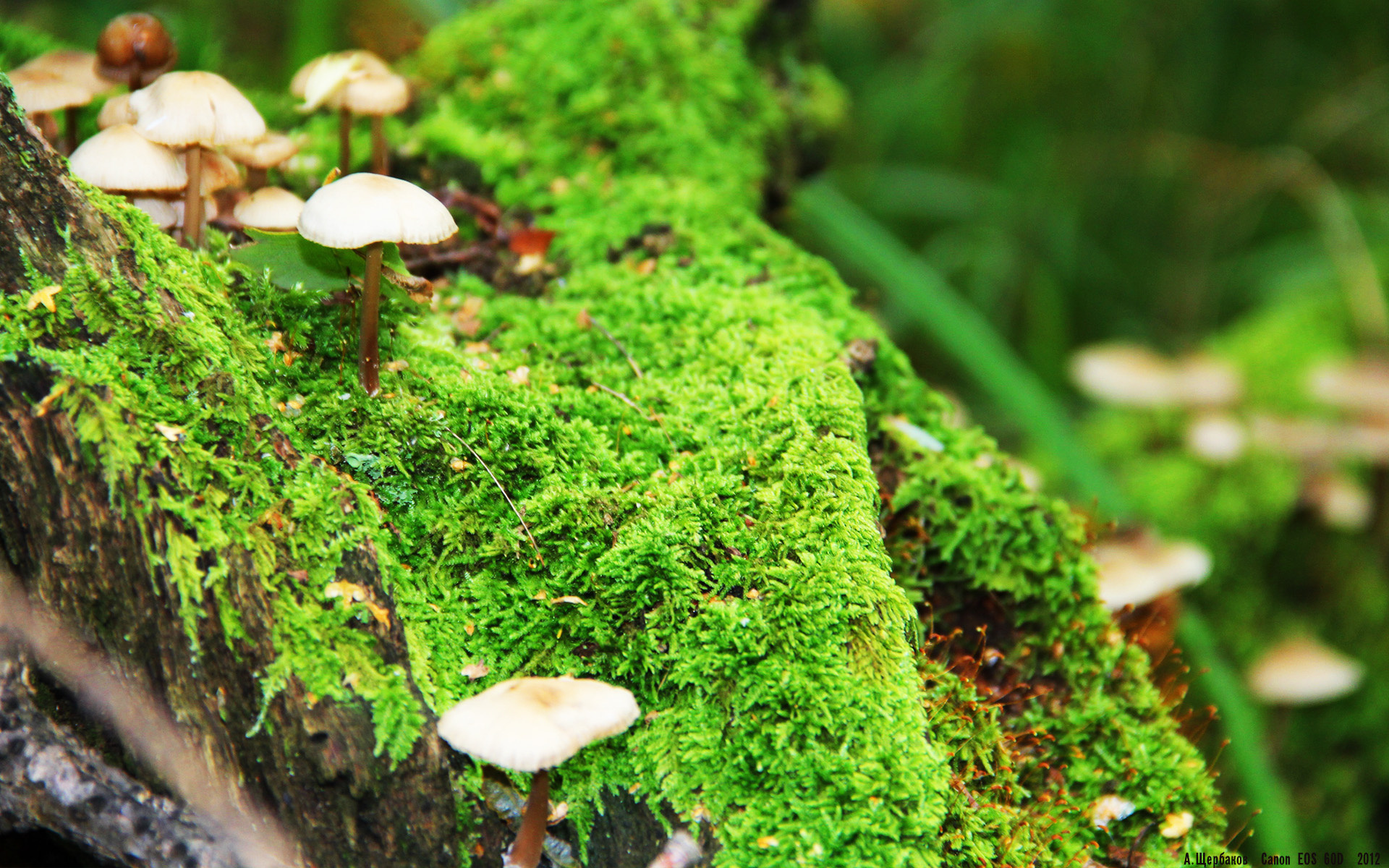 APP下载 LY Sports-青少年篮球联赛推广防伤保护课程保障参赛安全，青少年篮球活动策划方案