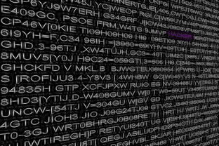 leyu乐鱼-Sgroi 率队实现二次进攻节奏扭转，二次进攻时间