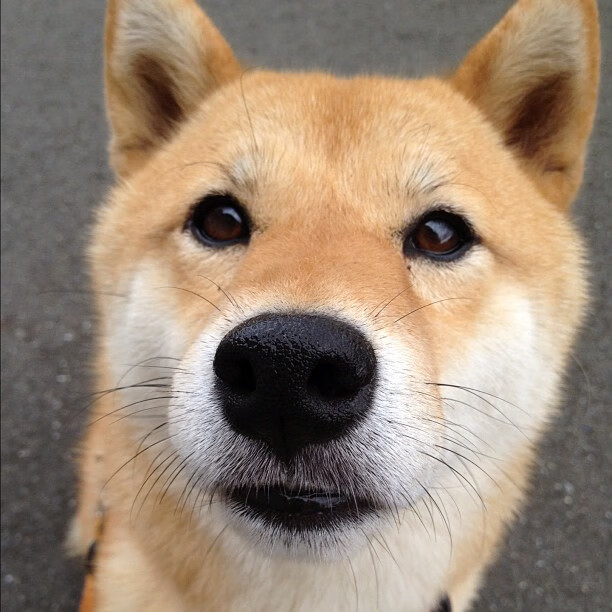 业余赛事品牌化运营初见成效吸引赞助商关注,赛事商业运作策划方案